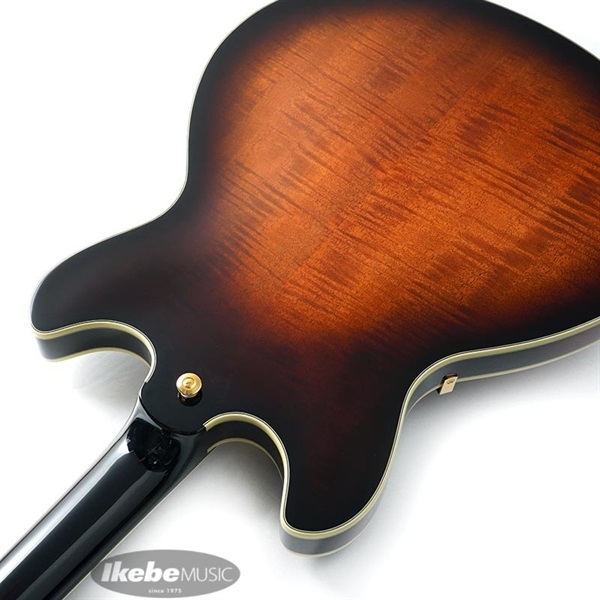 Ibanez JSM100-VT [John Scofield Signature Model] ｜イケベ楽器店