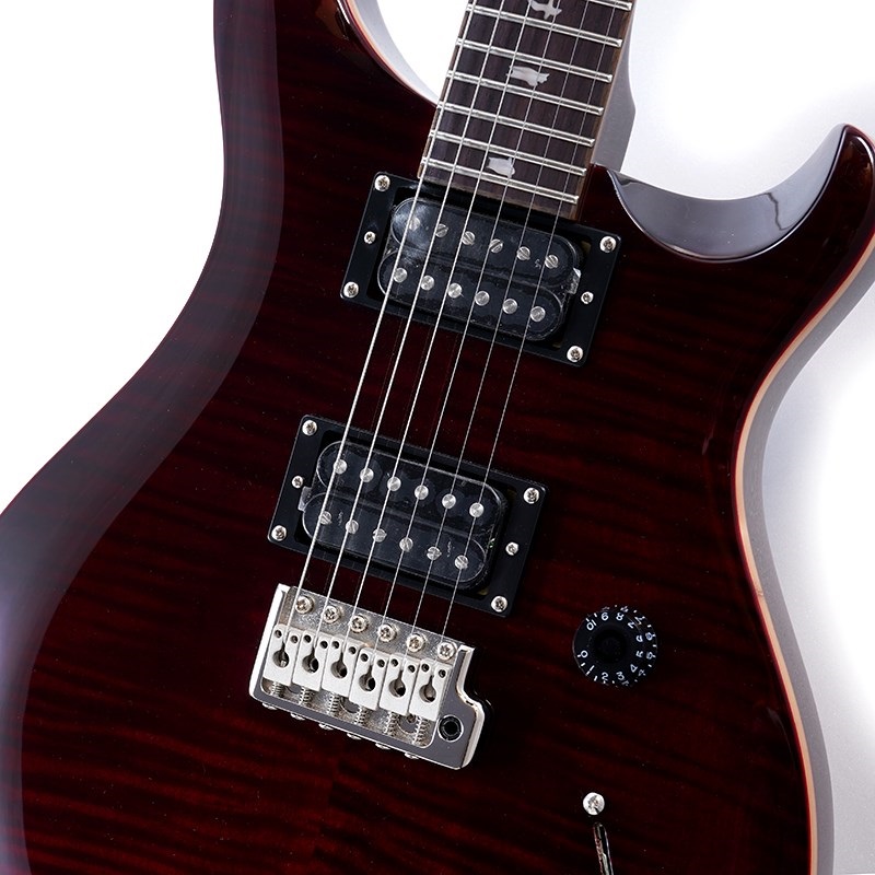 P.R.S. SE Custom 24 (Black Cherry) ｜イケベ楽器店オンラインストア
