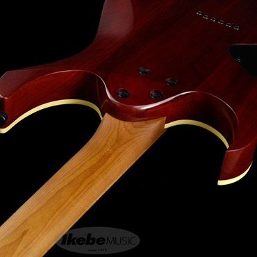 Ibanez RG421HPAM-ABL ｜イケベ楽器店オンラインストア