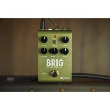 strymon 【WEB限定在庫処分セール】 BRIG【dBucket Delay】（ストライ