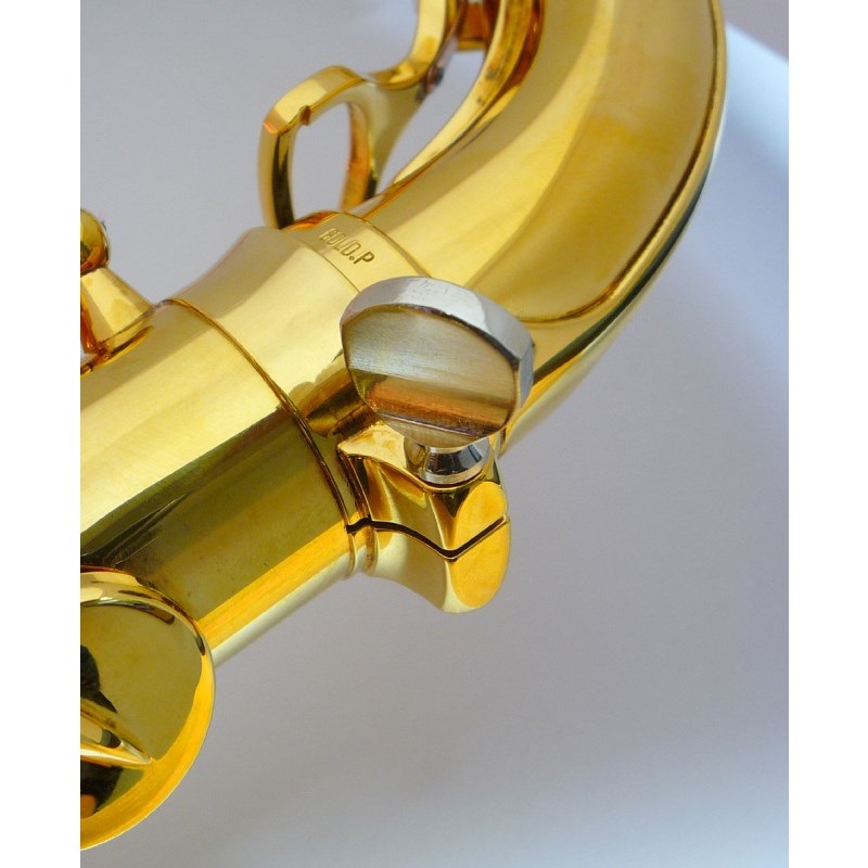 buzz バズ サックス用ネック止めネジ [ヤナギサワ用] ｜イケベ楽器店