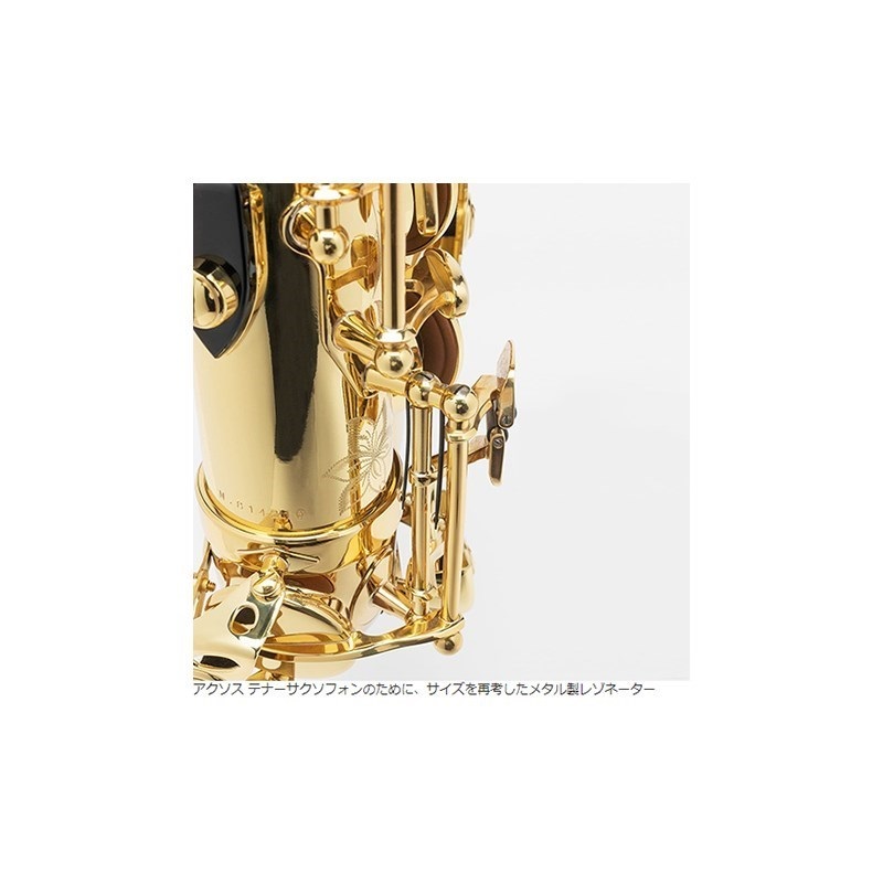 Selmer Paris 【旧定価品！】【中村誠一氏選定品】テナーサックス