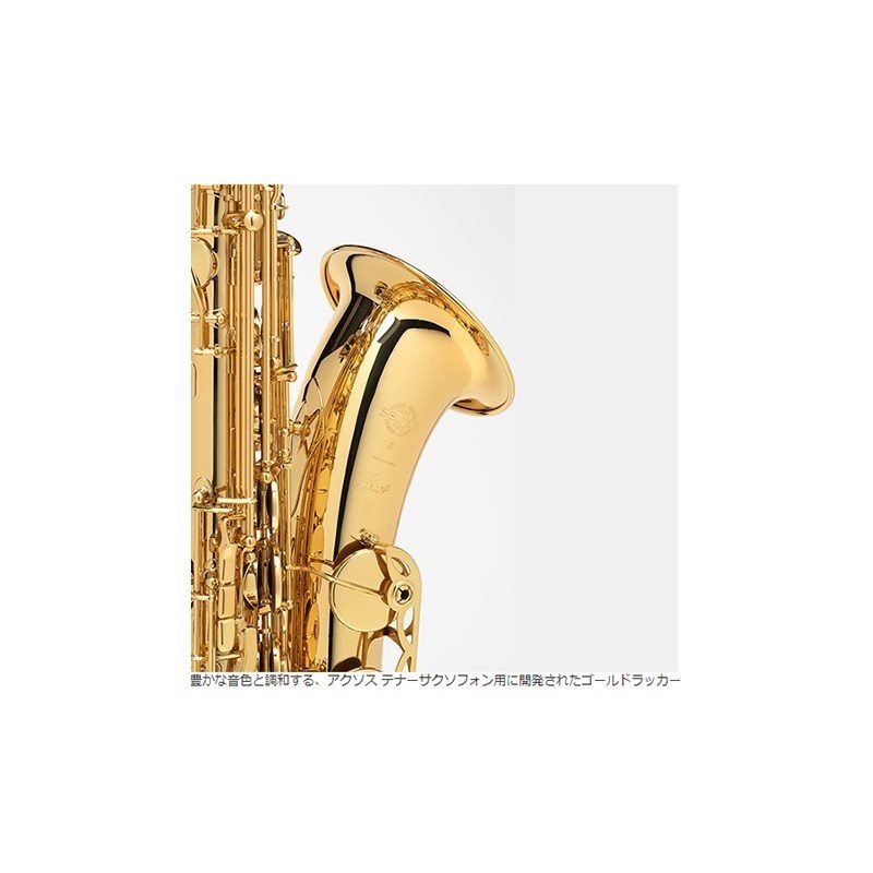 Selmer Paris 【旧定価品！】【中村誠一氏選定品】テナーサックス