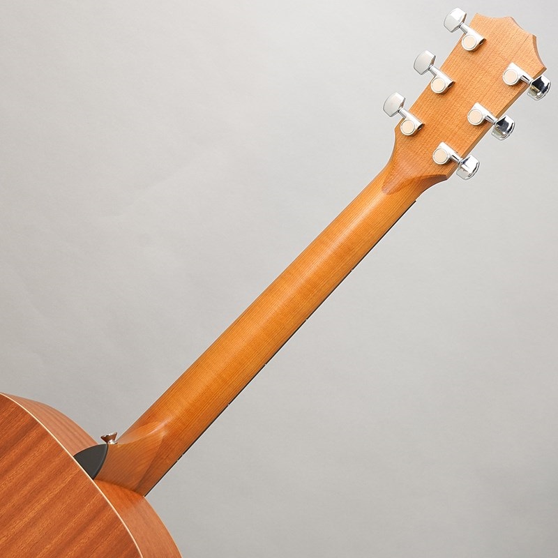 TAYLOR Academy 10 テイラー ｜イケベ楽器店オンラインストア