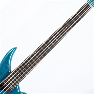 TUNE TWB-5 EX FM/Ash (Clear Blue) 【半期決算セール】 ｜イケベ楽器