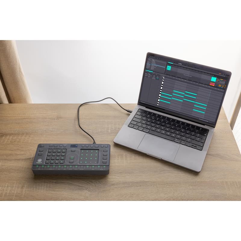 AlphaTheta AlphaTheta TORAIZ CHORDCAT（コードキャット）(アルファ