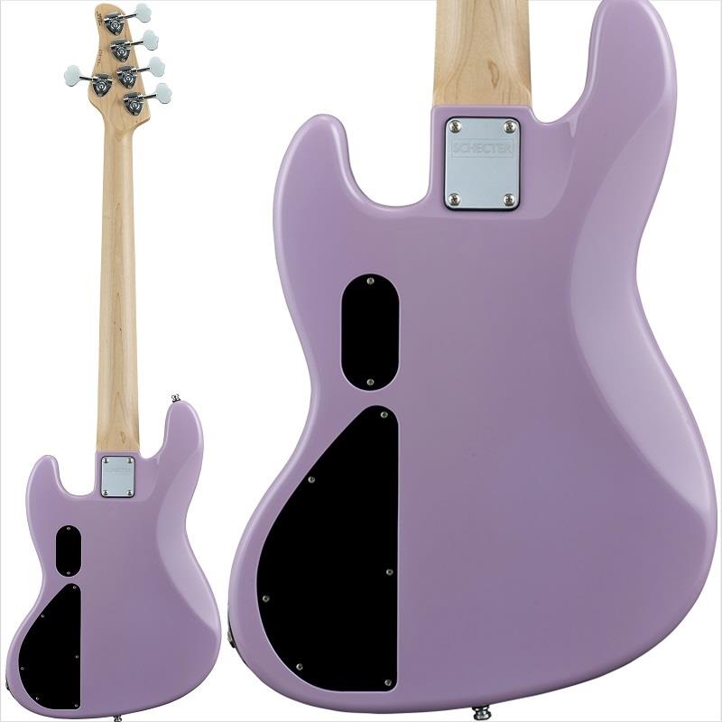 SCHECTER 【入荷待ち、ご予約受付中】 AC-EXB-5-AveMujica-Timoris/SIG