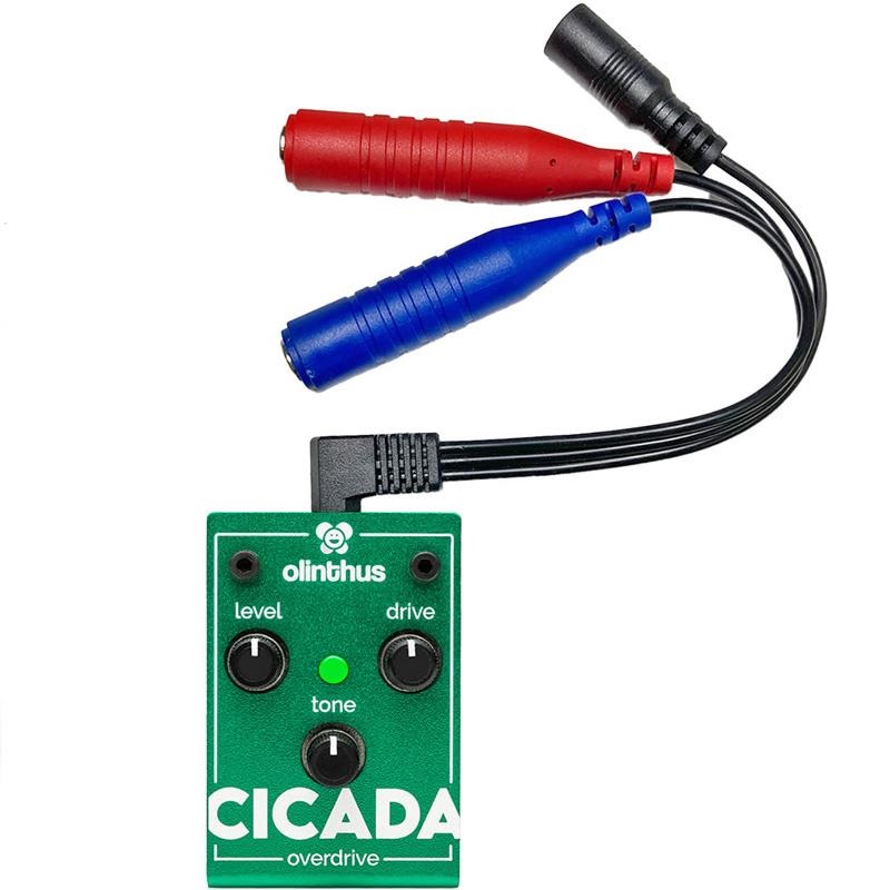 olinthus EARWIG（ファズ） ｜イケベ楽器店オンラインストア