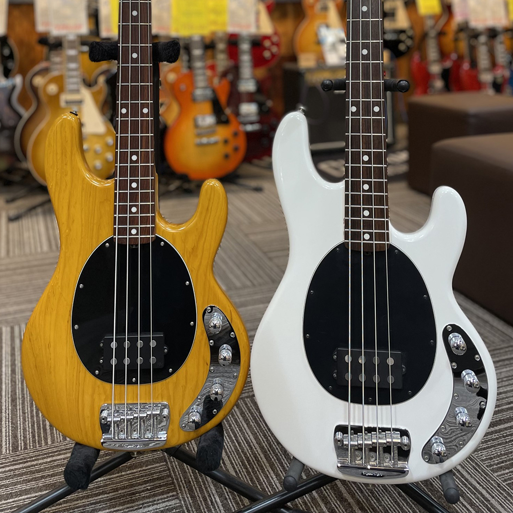 REUSE】【リユースコラム】Musicman Stingray の見分け方【ベース