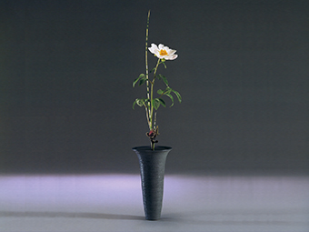 生花（しょうか） | いけばなの根源 華道家元池坊