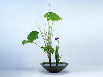 生花（しょうか） | いけばなの根源 華道家元池坊