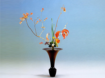 立花（りっか） | いけばなの根源 華道家元池坊