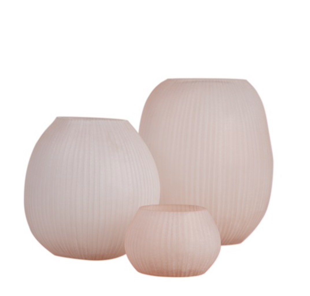 GUAXS NAGAA M ／rose - jardin du I'llony online store