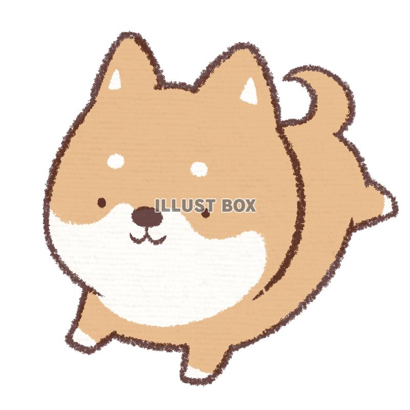 干支-イヌ：イラスト無料