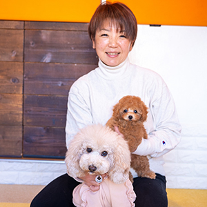 弊社から2頭目のプードルちゃんをお迎えいただいた長島さまからのお