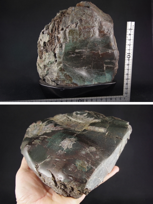 菊花石 置石2．8kg 天然石販売 名取貴石 天然石原石鉱物結晶