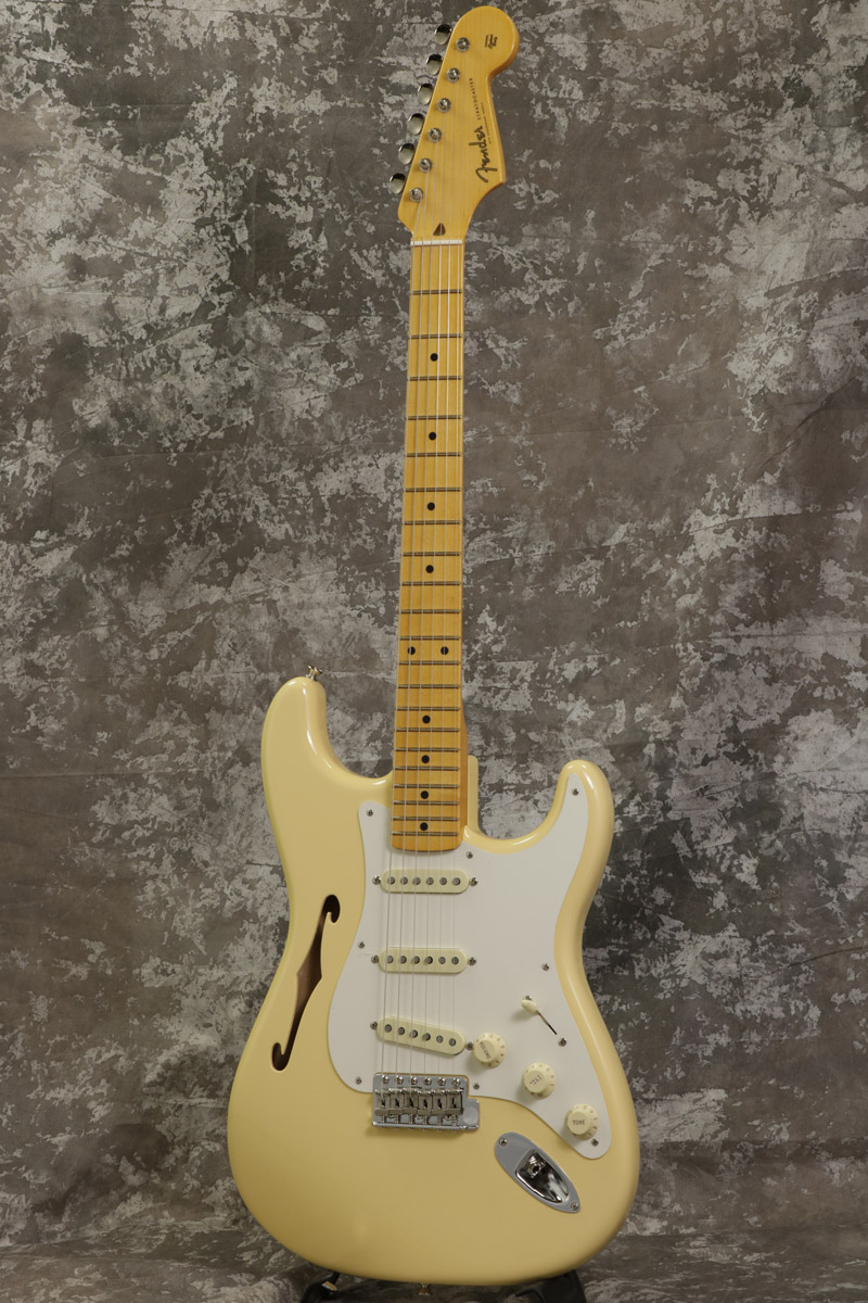 エリック・ジョンソン/シンラインストラトキャスター入荷!!【池袋店