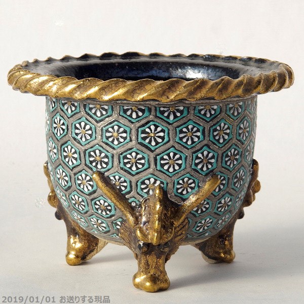 山野草の石田精華園 / 富貴蘭錦鉢