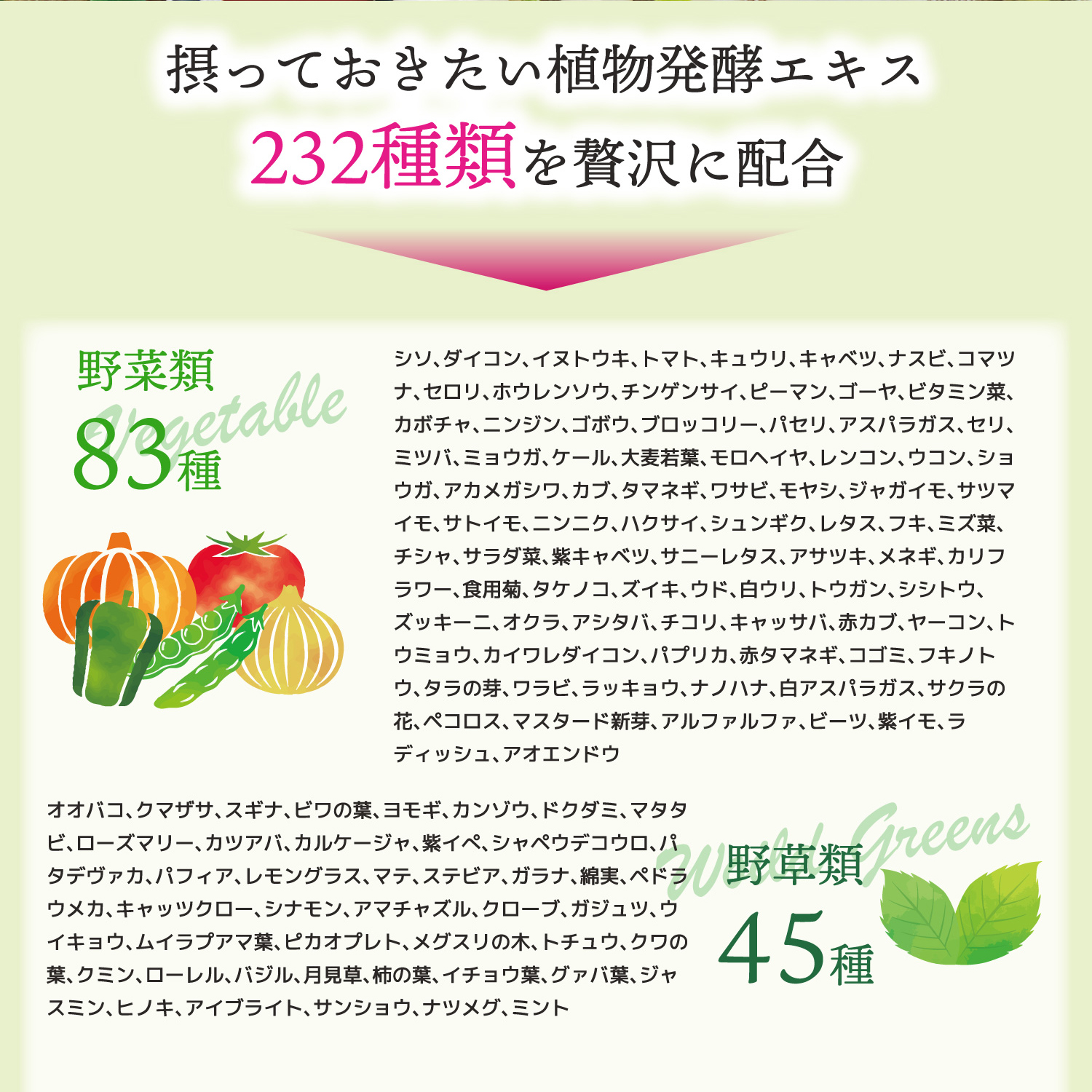Diet酵素プレミアム（30日分） | ISDG 医食同源ドットコム [公式通販]