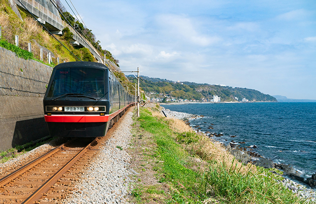 電車図鑑／座席表｜電車・駅のご案内｜伊豆急－おすすめ電車旅＜観光