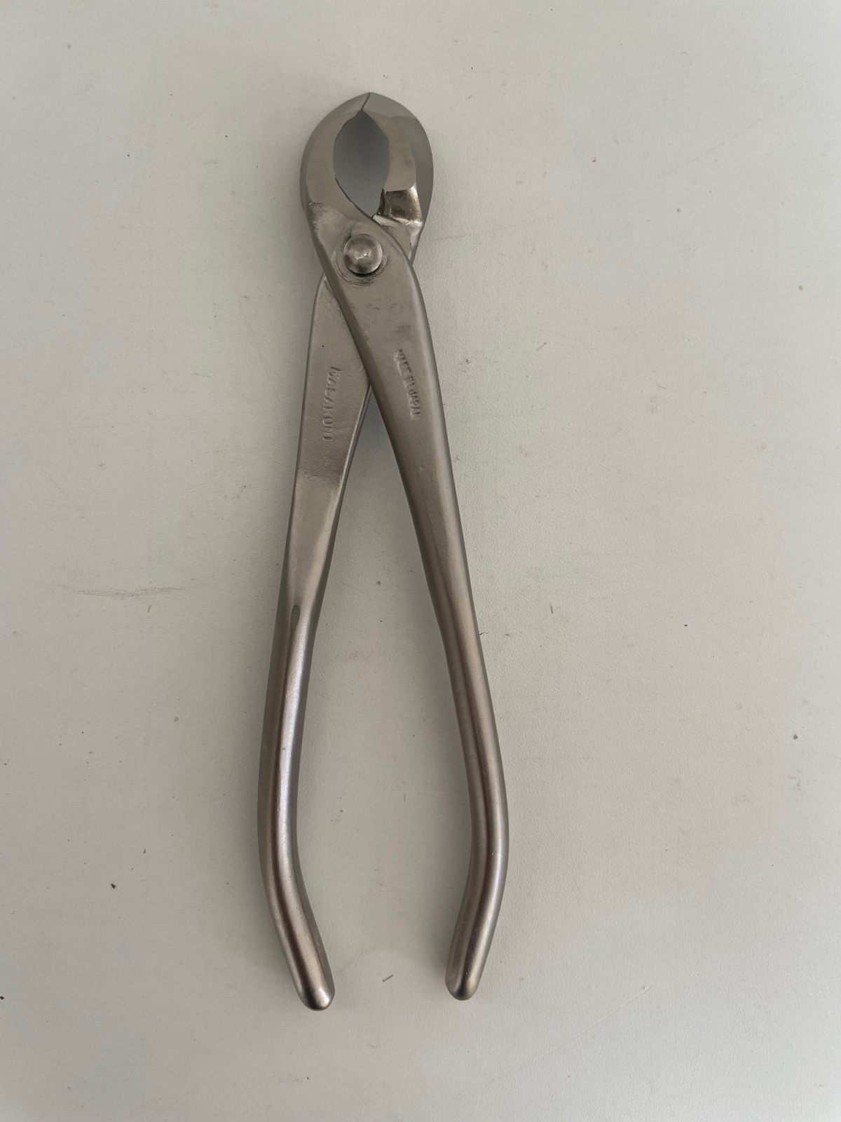 No.8116 白染め又枝切(小) - Bonsai Network Japan