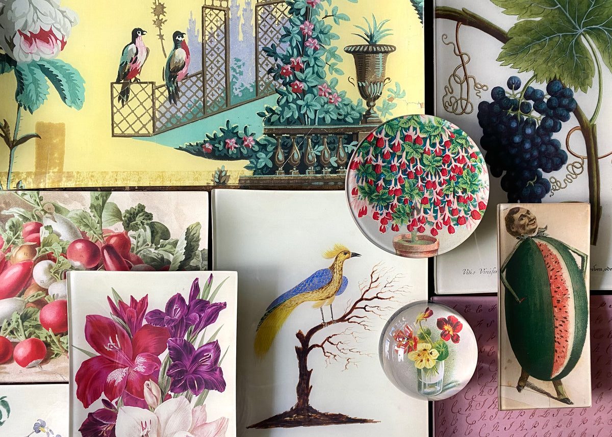 John_Derian_Collection_Decoupa