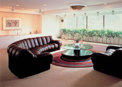 高級ソファーの代名詞「スネークソファー」を特別価格にて販売しており