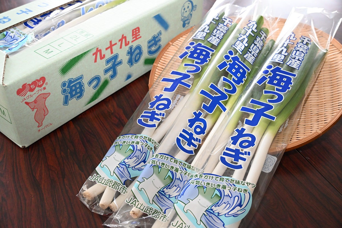 JA山武郡市のブランドネギ「九十九里 海っ子ねぎ」 │ JA山武郡市