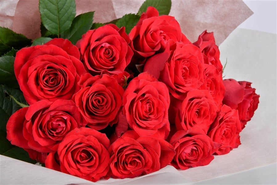 バラの花束 （赤/15本入り） 栃木県産: とちぎ新鮮倉庫|【JAタウン