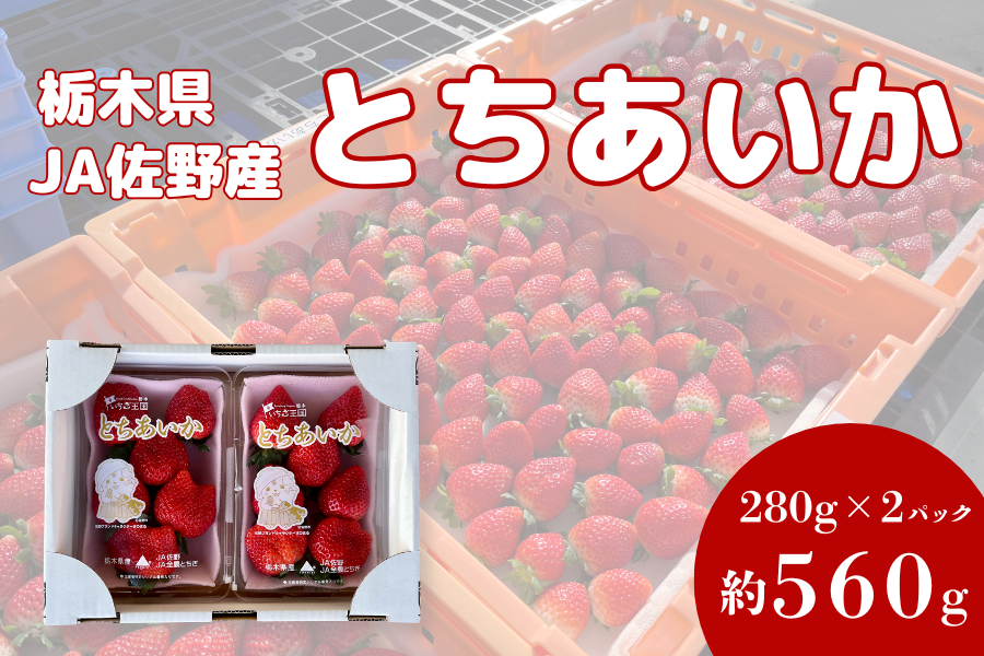 苺 とちあいか（280g×2パック）栃木県 JA佐野産: とちぎ新鮮倉庫