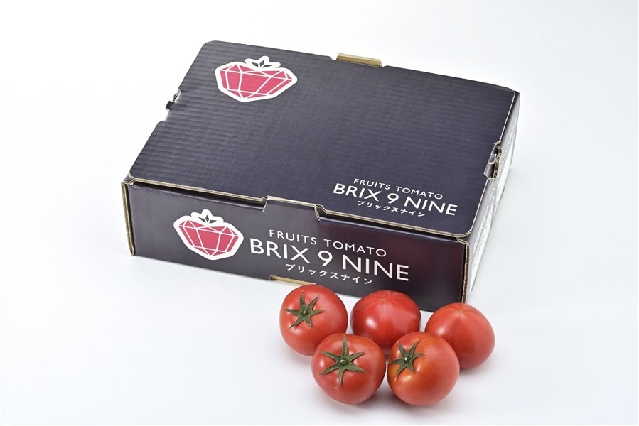 2箱セット ぐんまの誇る「フルーツトマト”ブリックスナイン”」（JAに