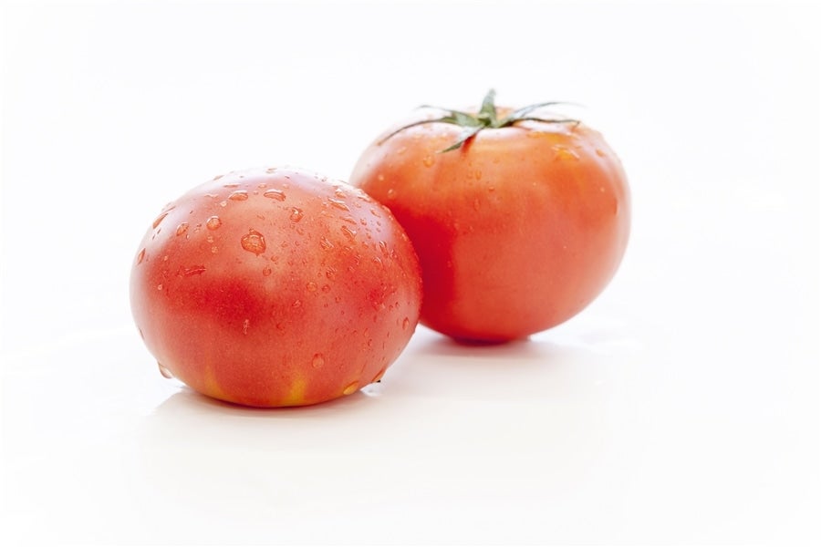 三重県産トマト フルーツトマトとまリッチ約4kg (25～45玉) JAみえきた