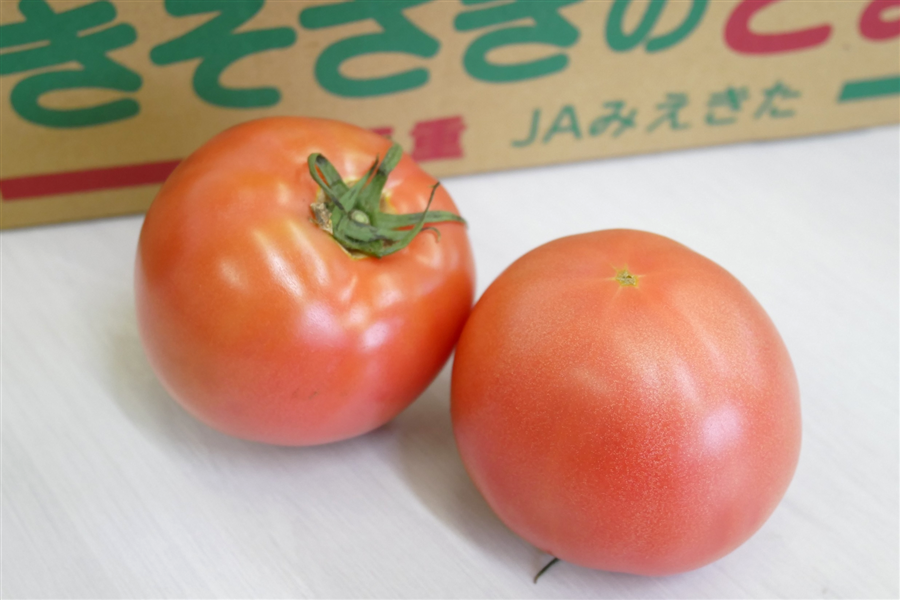 三重県産トマト（16～20玉） JAみえきた: 三重の味自慢|【JAタウン