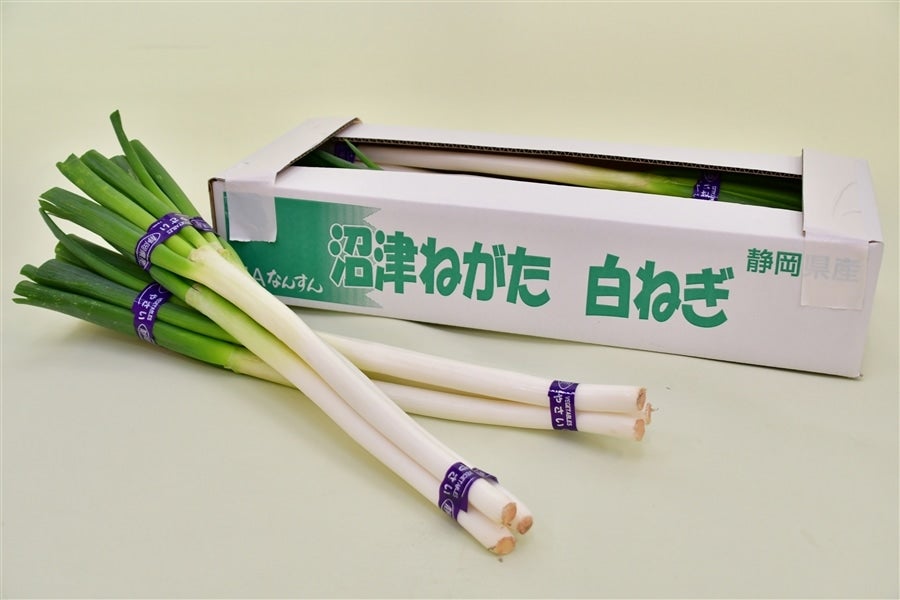 沼津ねがた白ねぎ 5kg×1箱 JAふじ伊豆: しずおか『手しお屋