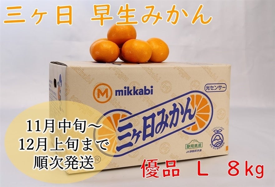 三ヶ日早生みかん（優品）L 8kg JAみっかび: しずおか『手しお屋