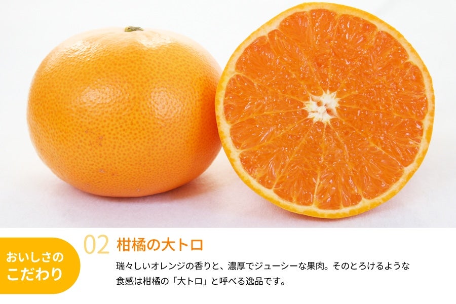 せとか 約4kg（18～28玉入り） ＜3月中旬より順次発送＞(紀南): ココ