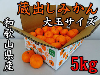 戎農園】和歌山県下津の大玉蔵出しみかん 約5kg 【大玉サイズ】(なが