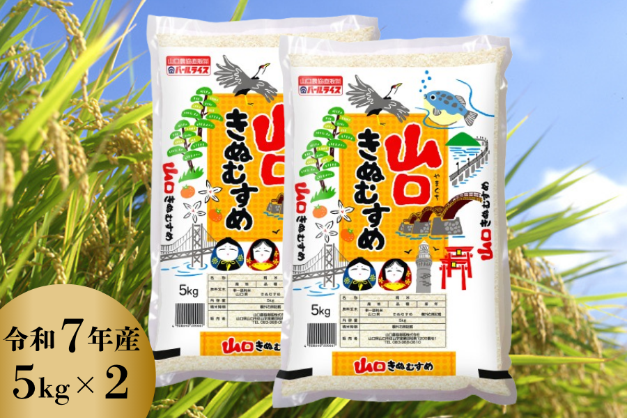 山口きぬむすめ 令和7年産・10㎏(5kg×2): 正直やまぐち|【JAタウン