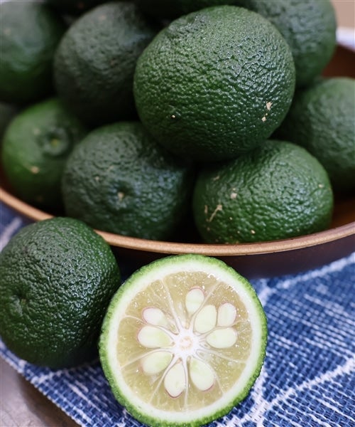 優品】奥伊予の「青柚子」約2kg JAひがしうわ 東宇和柚子生産部会