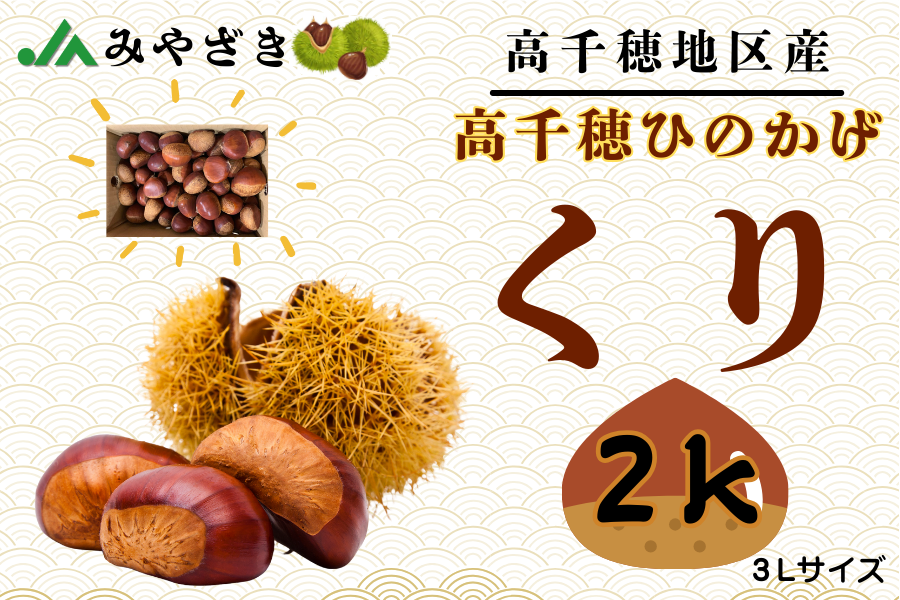 高千穂ひのかげ栗 3L（2kg）: JAみやざき高千穂直販|【JAタウン