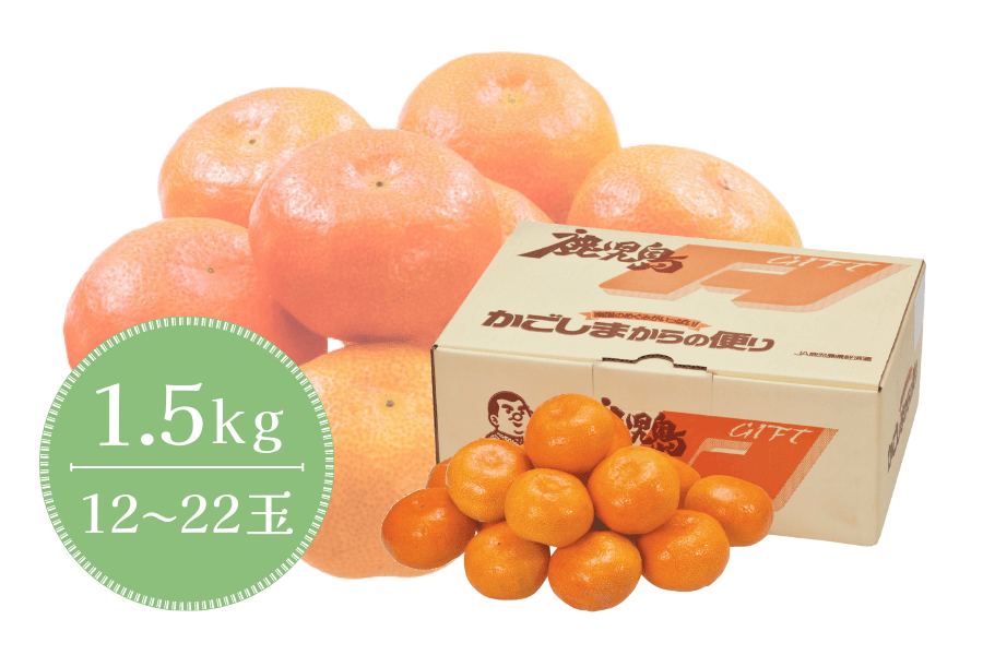 鹿児島県産ハウスみかん 1.5kg: JA鹿児島県経済連 鹿児島の味