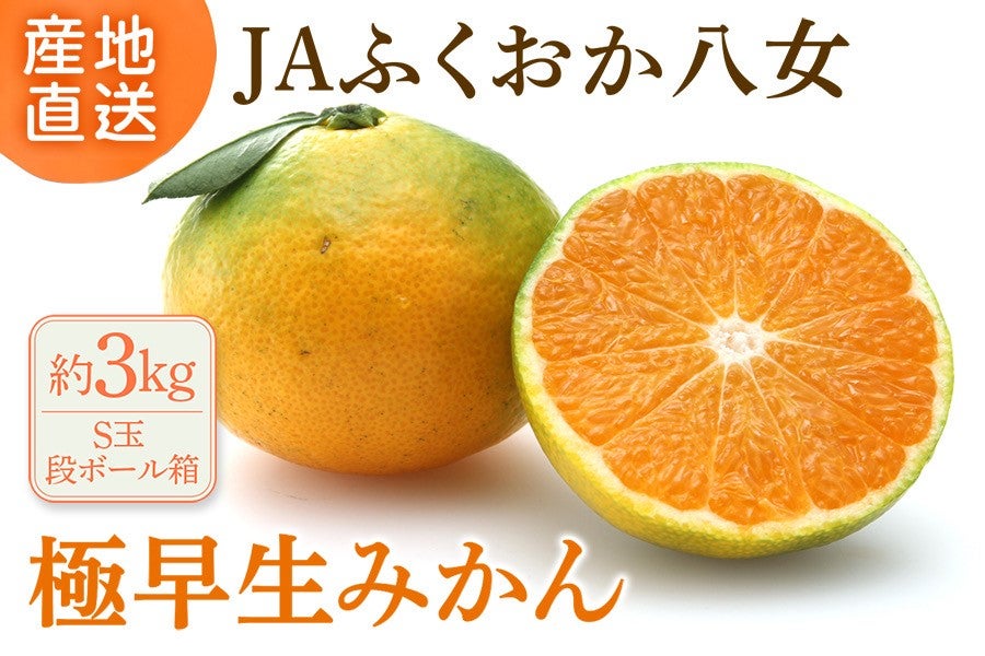 2026年8月末予約開始予定】◎JAふくおか八女 極早生みかん 約3kg（S玉
