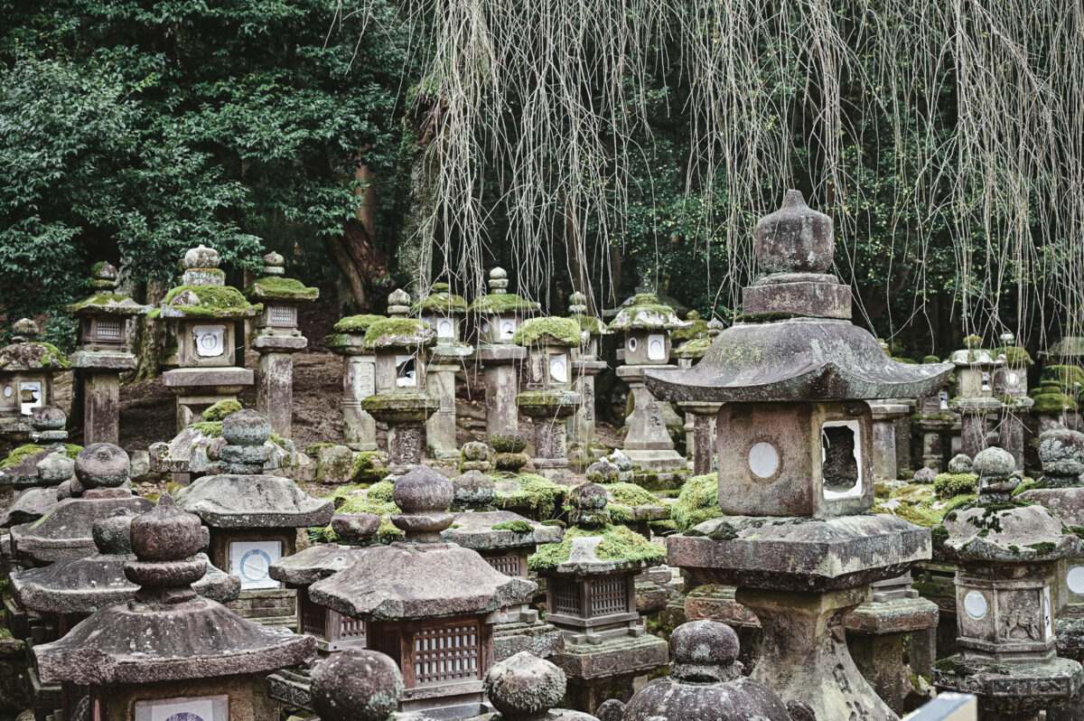 春日灯籠とは？庭に格式と品格を添える特徴・向き・選び方ガイド