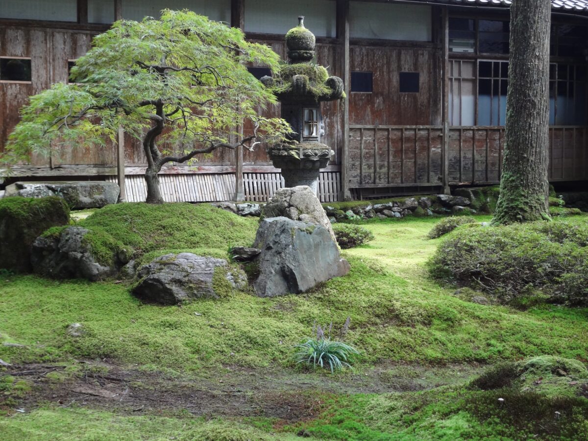 2026年最新】庭石の種類と価格を徹底解説！選び方から設置費用まで