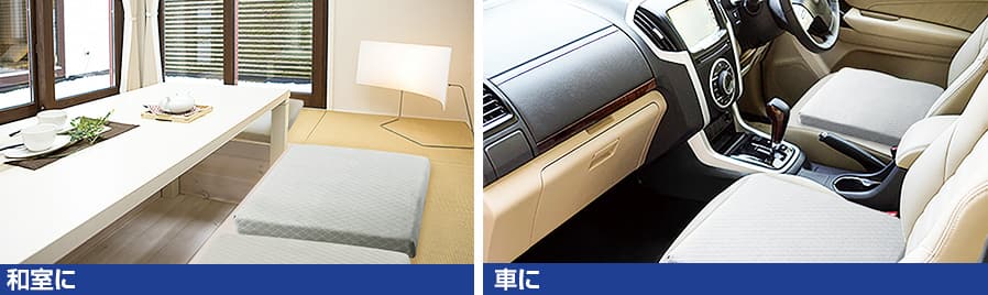 西川 インテリア ボナノッテシートクッション2個セット グレー BU16221