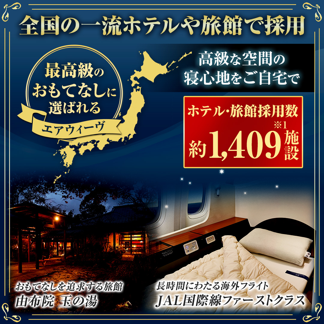 エアウィーヴ 布団・快眠グッズ コンフォート ピロー 2-326011-1 通販