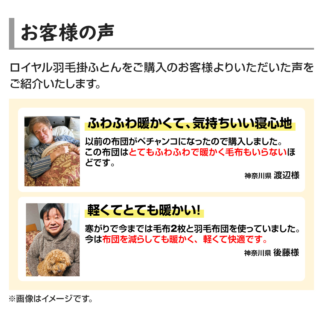 モリリン 布団・快眠グッズ ハンガリー産ダウン90%羽毛布団 シングル