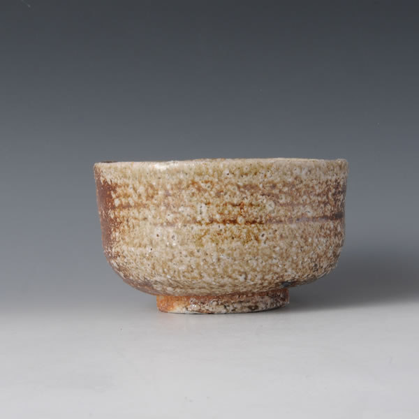 Japan Pottery Net / Tea Bowl D / Kanzaki Shusaku【Shigaraki】
