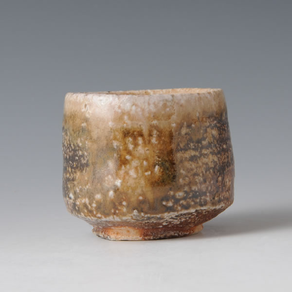 Japan Pottery Net / 荒川智