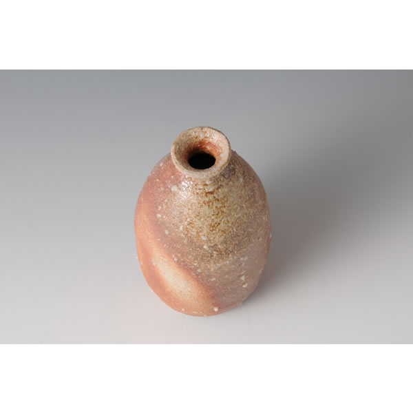 Japan Pottery Net / 信楽徳利 C